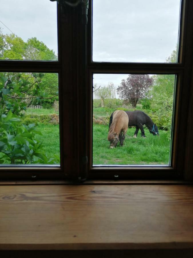 Ferienwohnung Warderhof Sandstedt Buitenkant foto